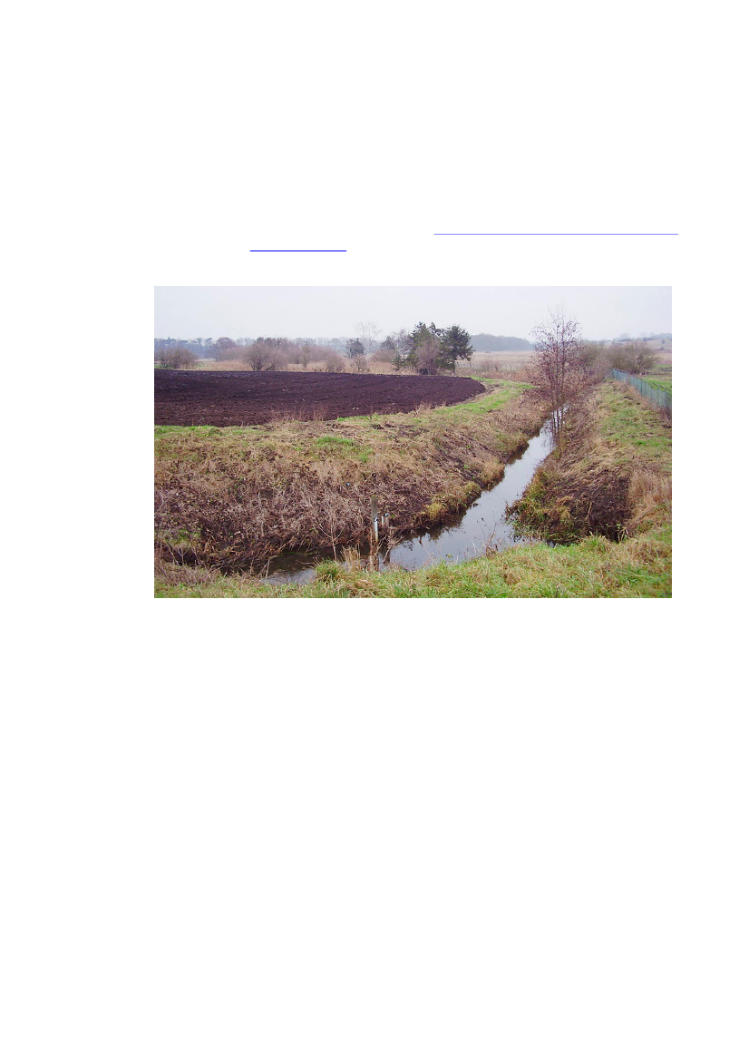 1146418_0052.png