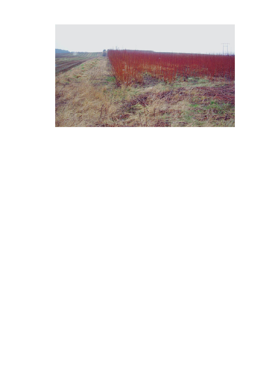 1146418_0073.png