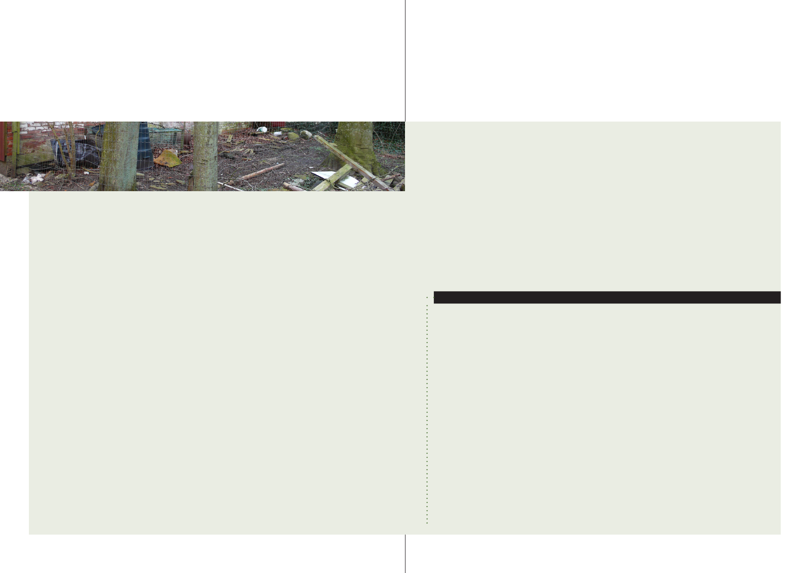 1154525_0012.png