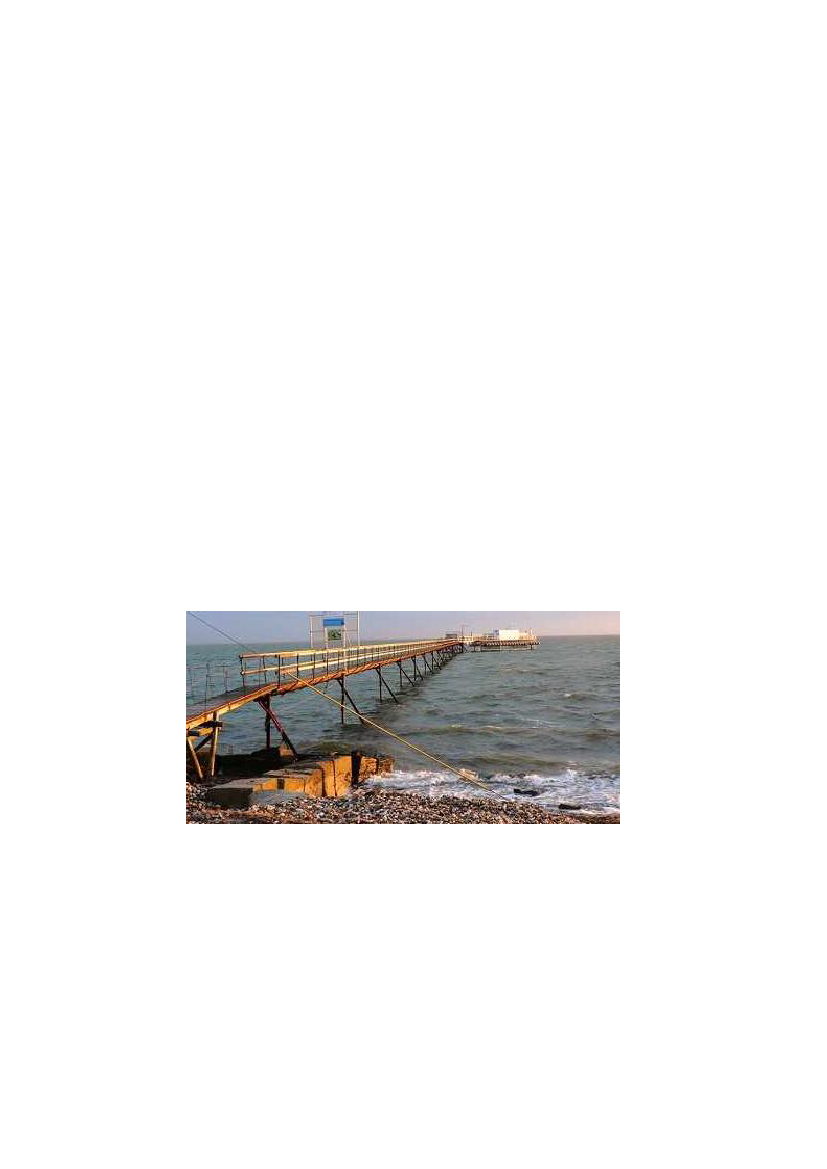 1155646_0020.png