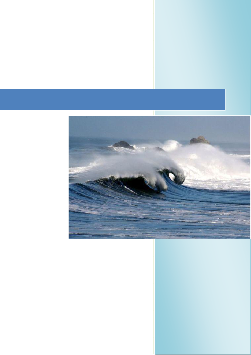 1155667_0001.png