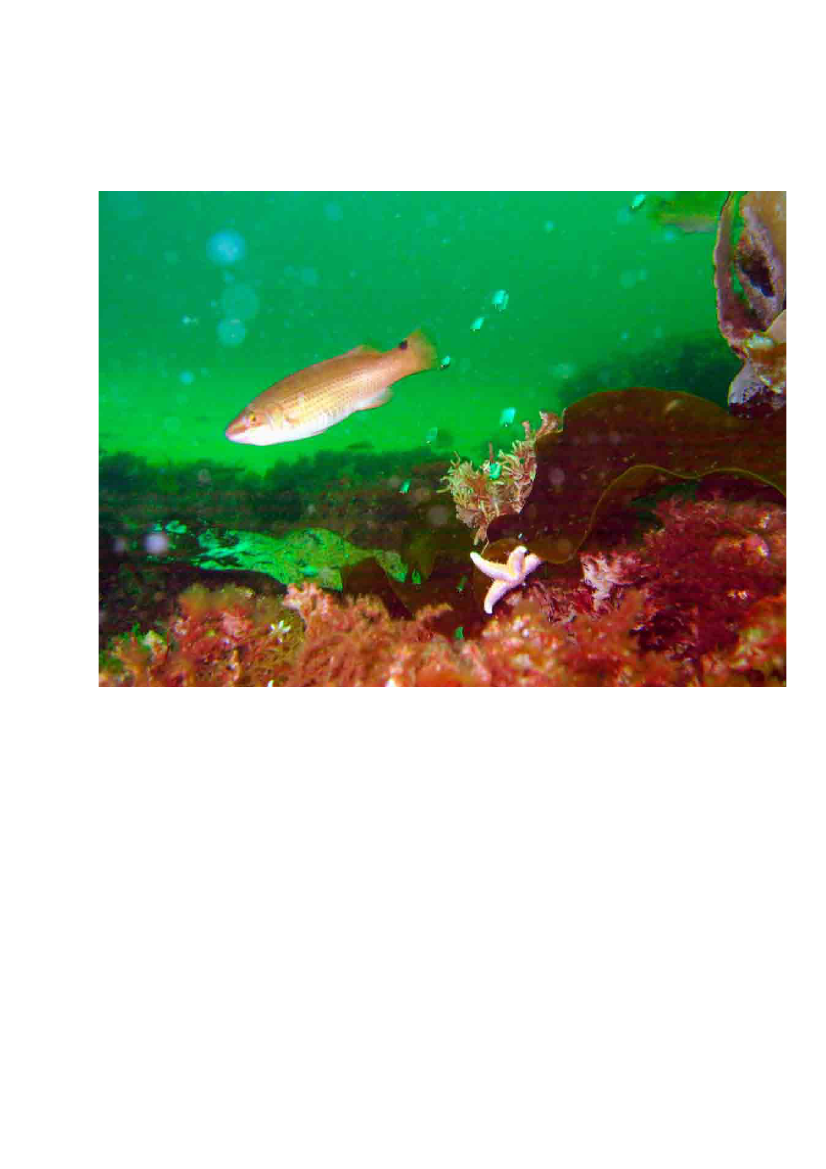 1177759_0011.png