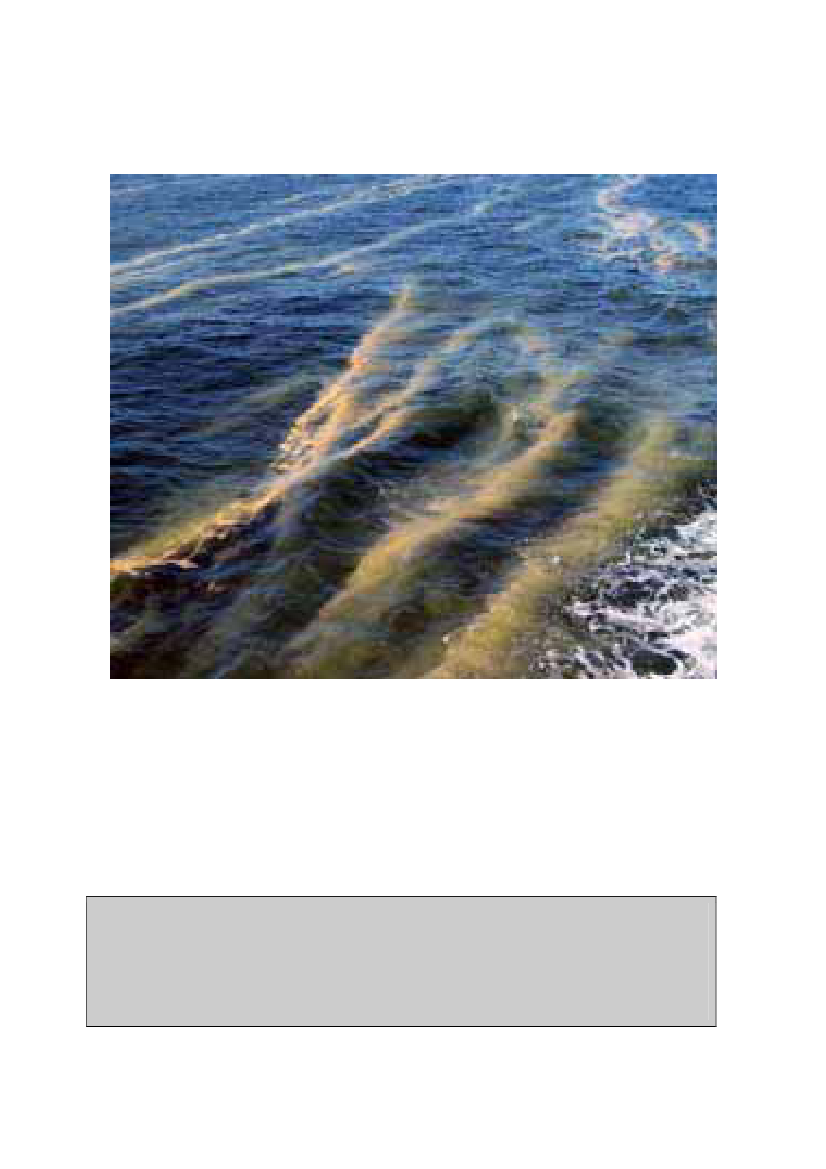 1177759_0033.png