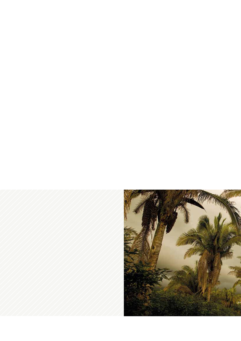 1179952_0010.png