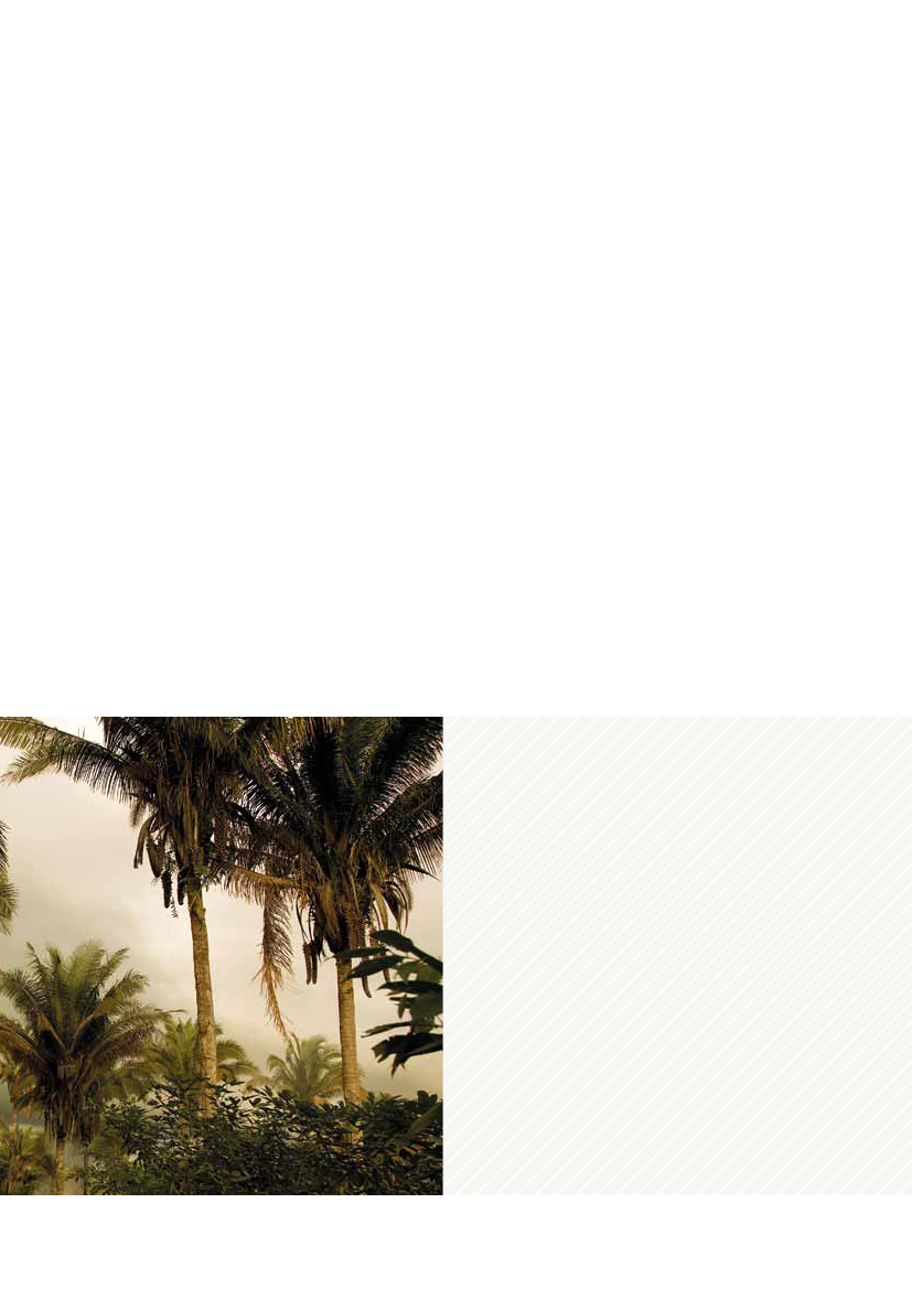 1179952_0011.png