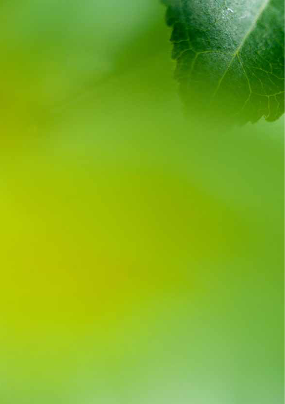 1186042_0006.png