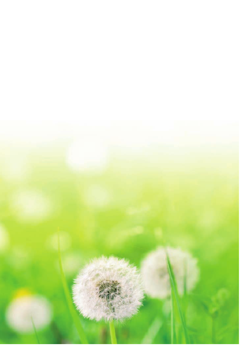 1199717_0003.png