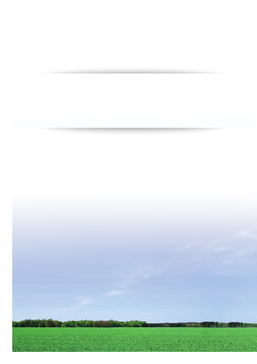1199717_0010.png