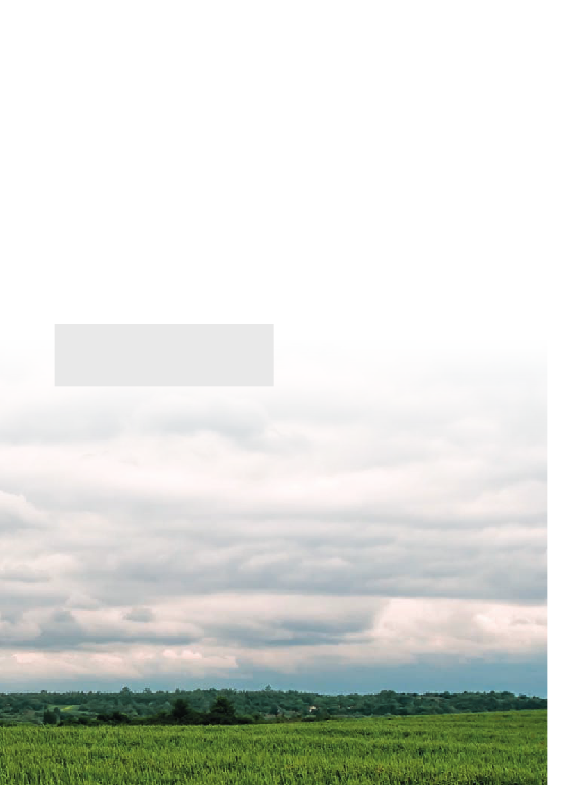 1199717_0017.png