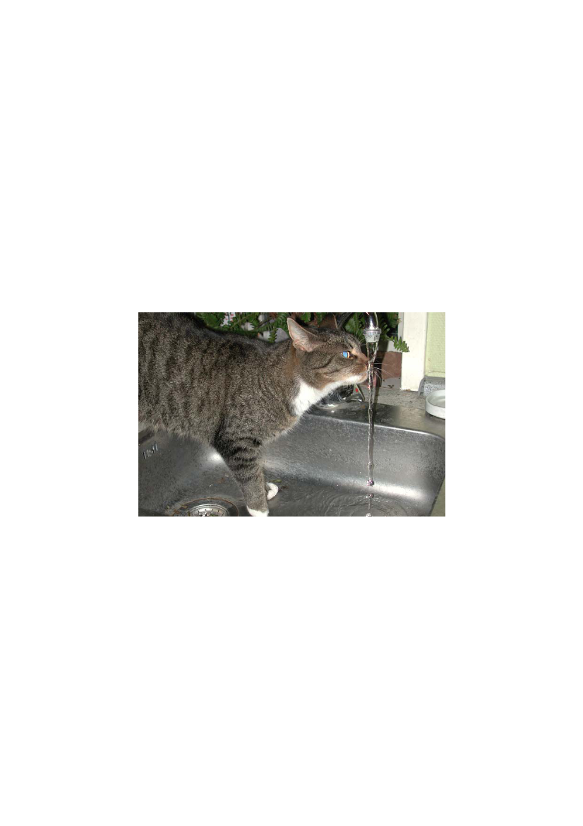 1241316_0001.png