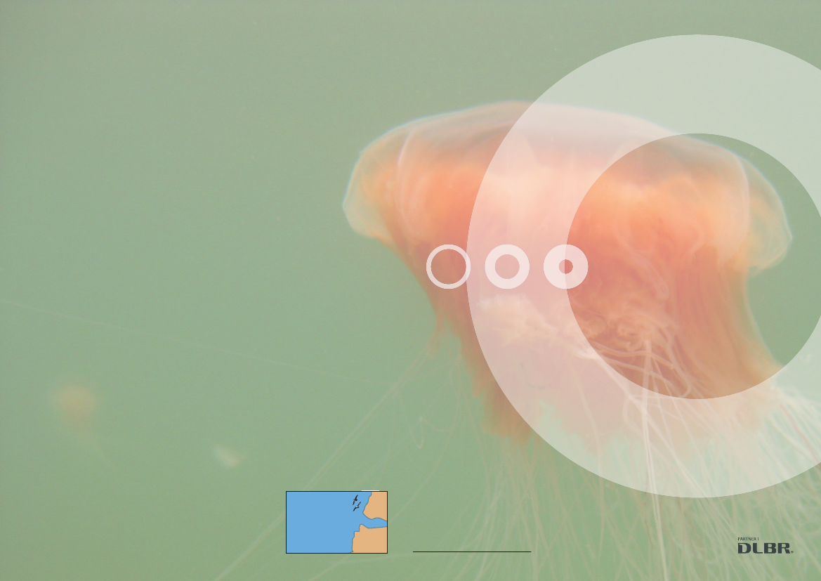 1241331_0001.png