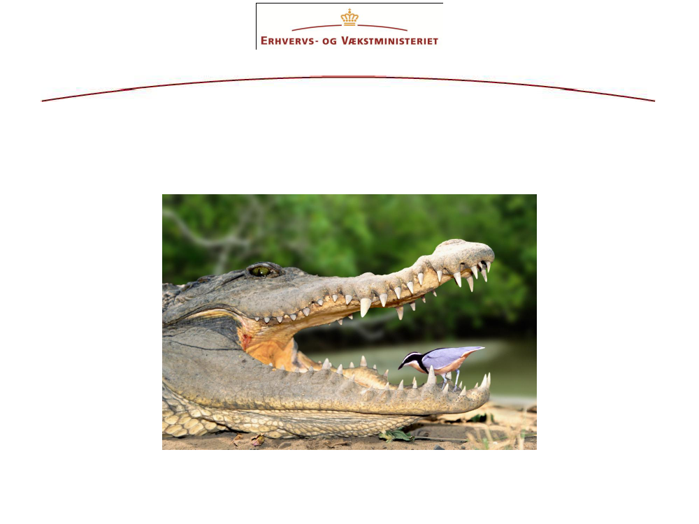 1252215_0006.png
