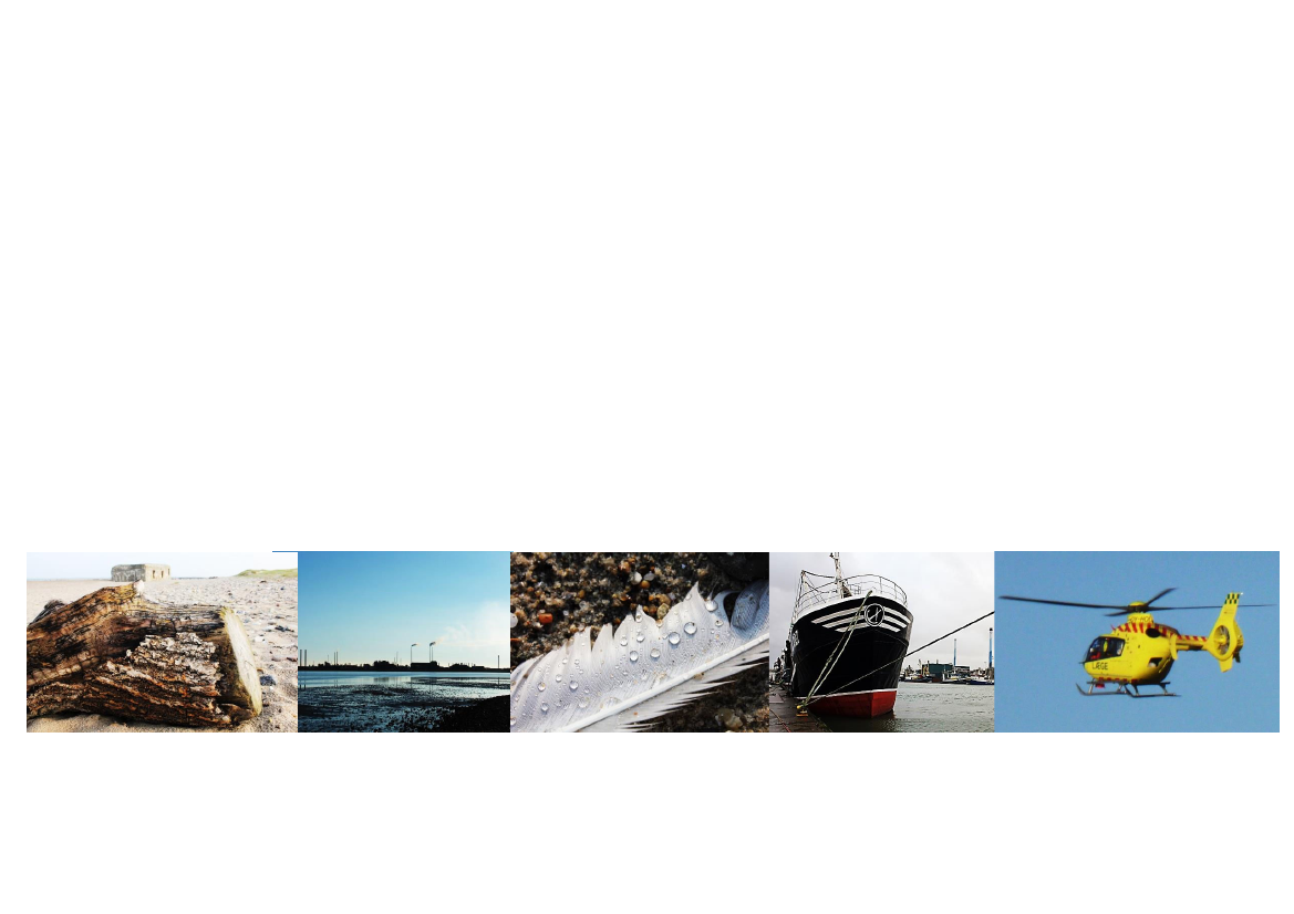 1261279_0001.png