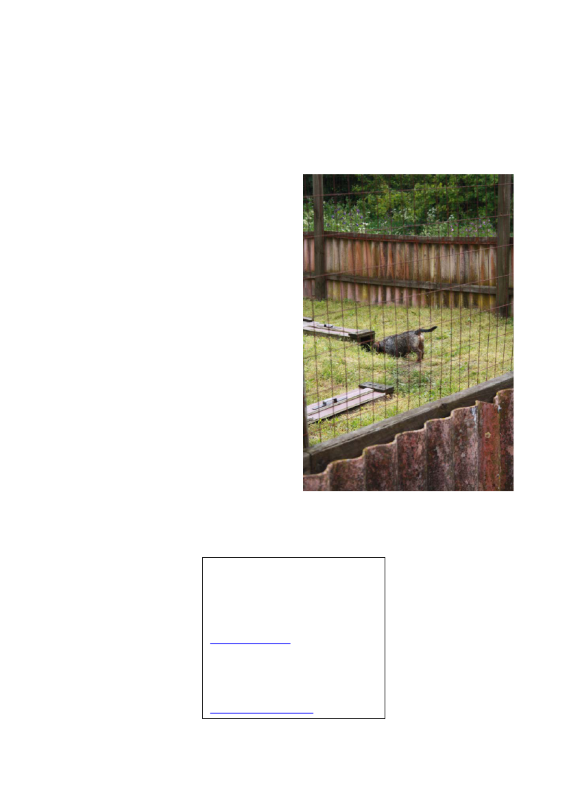 1268139_0004.png