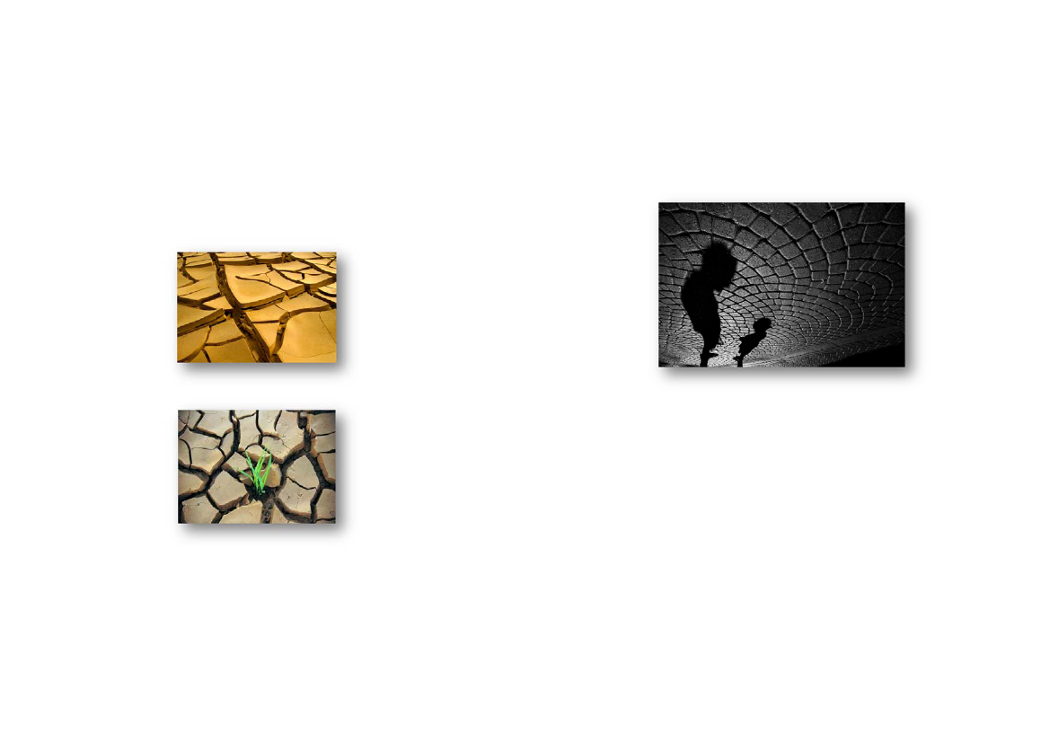 1274395_0028.png