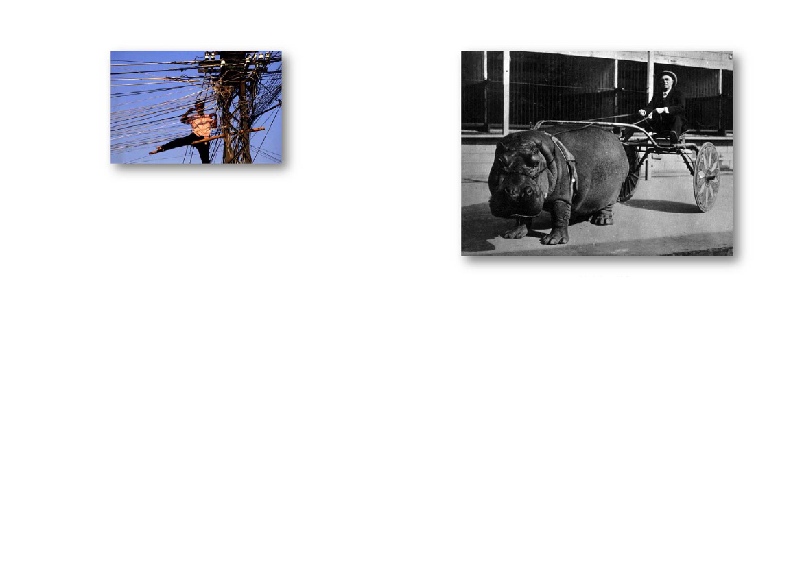 1274395_0082.png