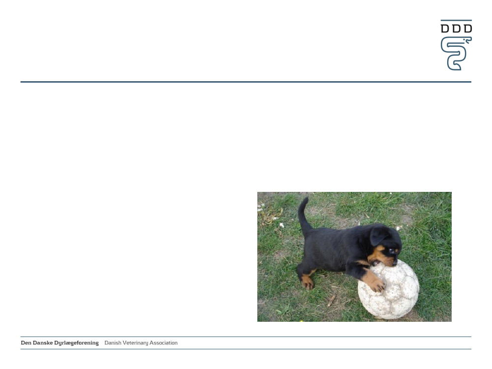 1289705_0002.png