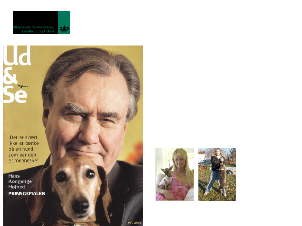 1289708_0002.png