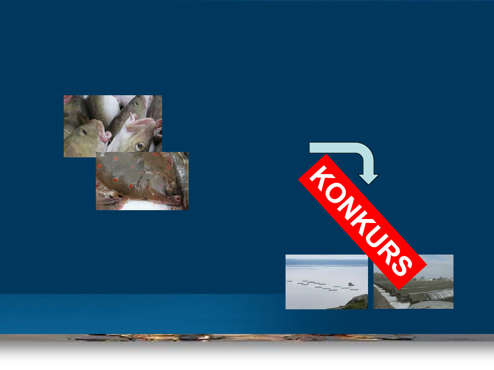 1312854_0008.png