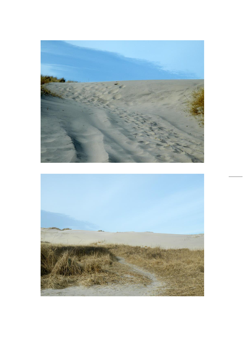 1316485_0031.png