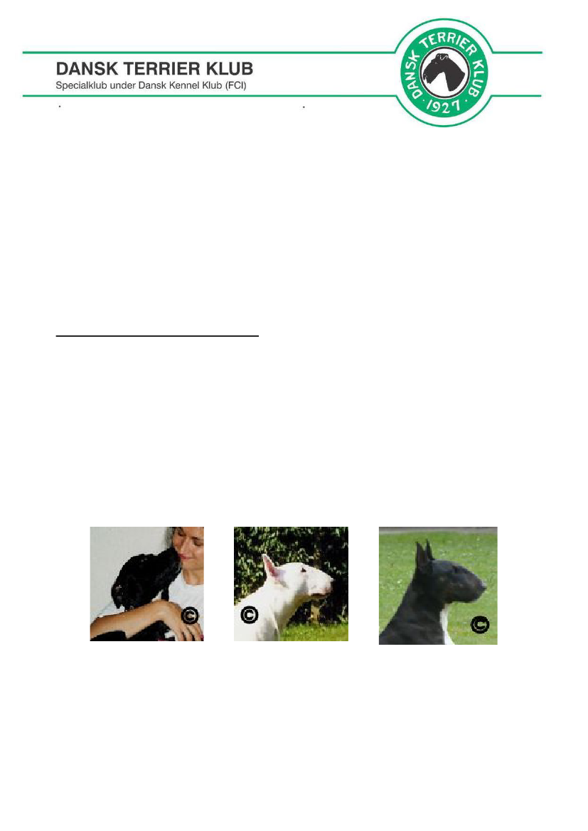 1319088_0001.png