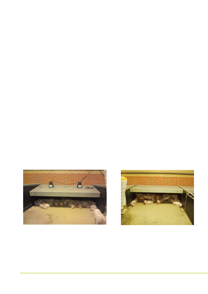 1322361_0002.png