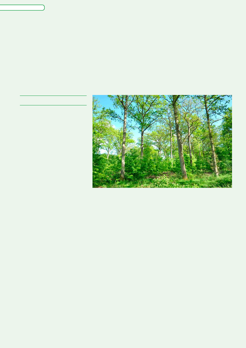 1332947_0001.png