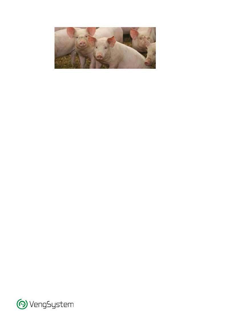1333773_0001.png