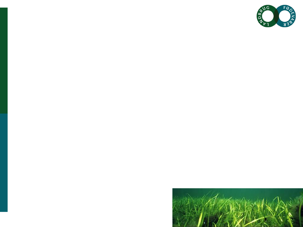1336447_0003.png