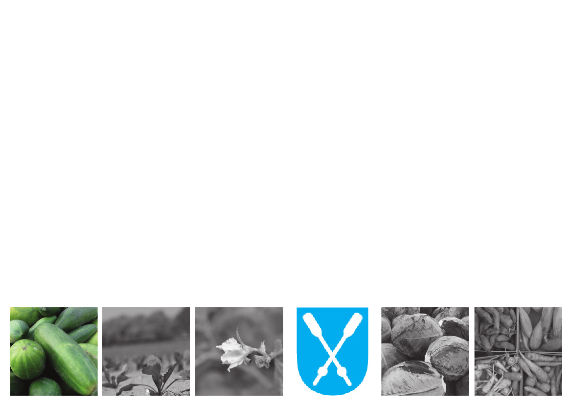 1340933_0027.png