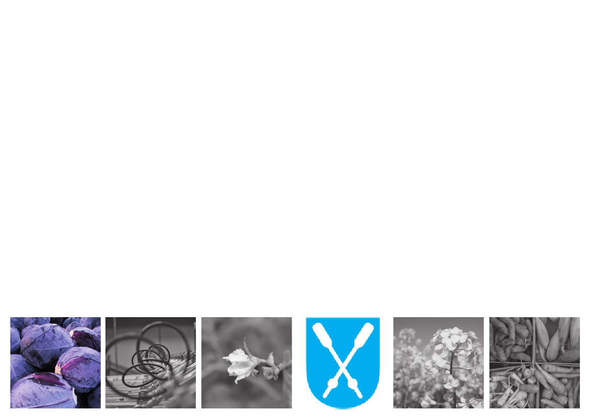 1340933_0041.png