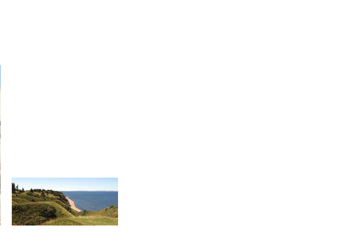 1341787_0007.png