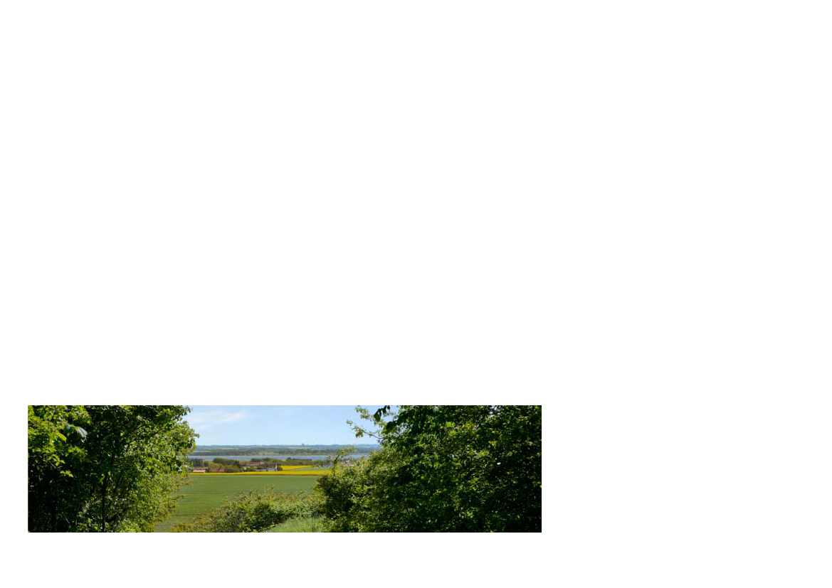 1341787_0010.png