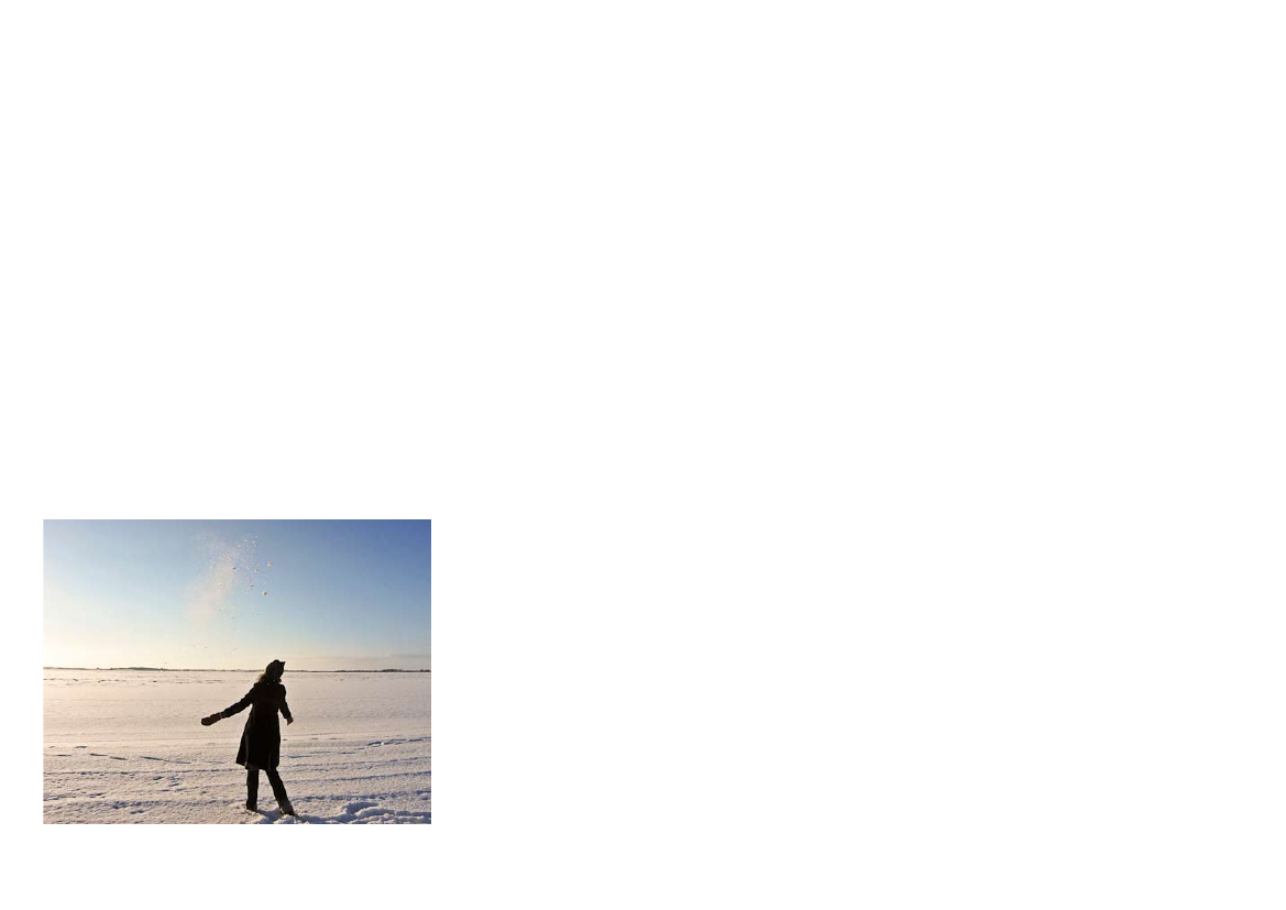 1341787_0016.png