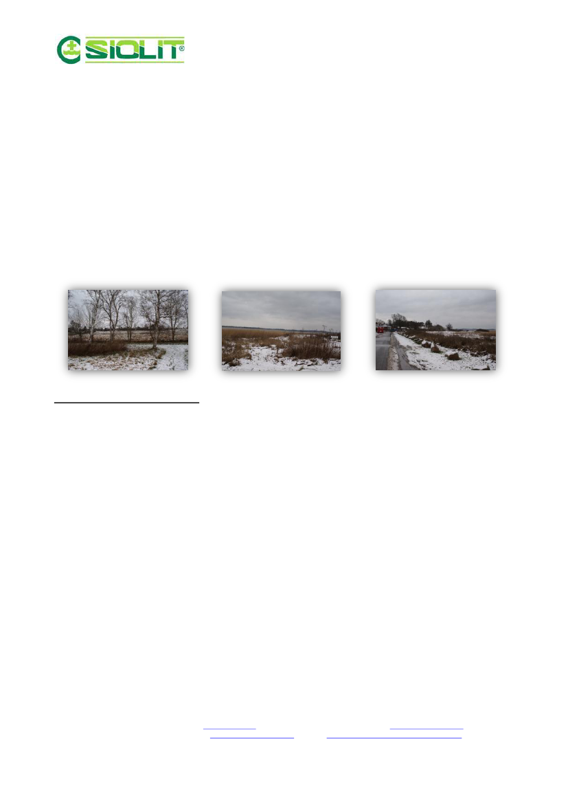 1345766_0009.png