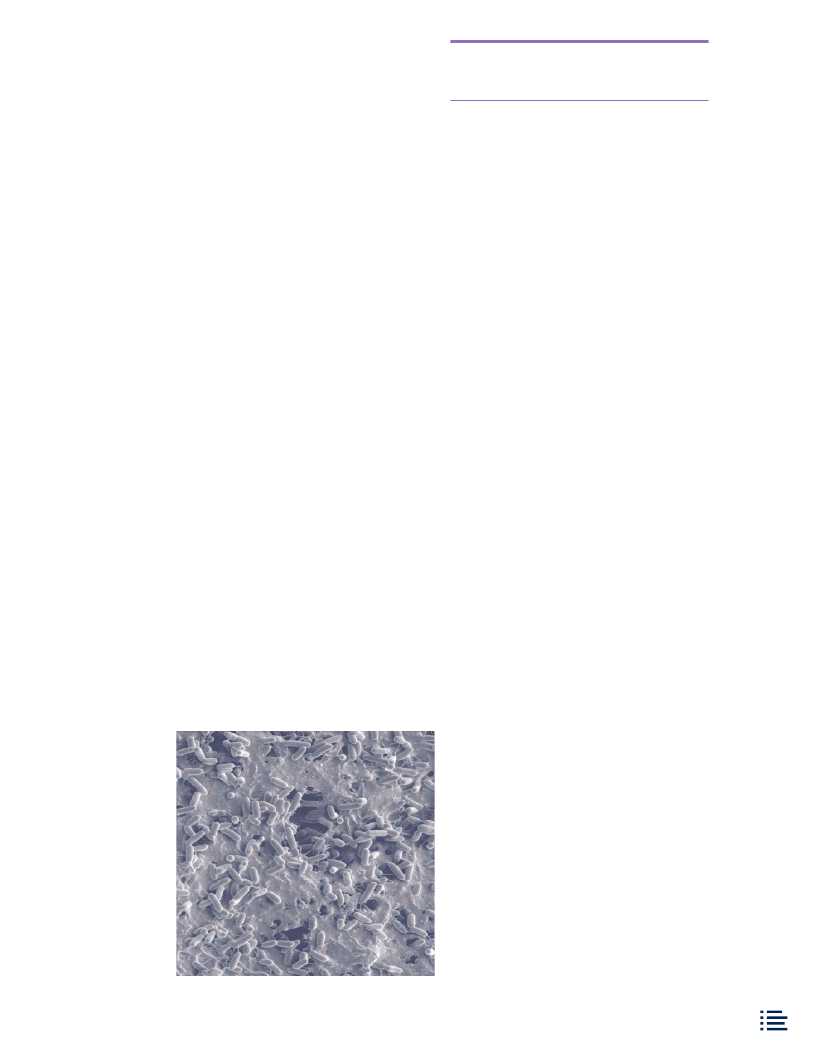 1346584_0020.png