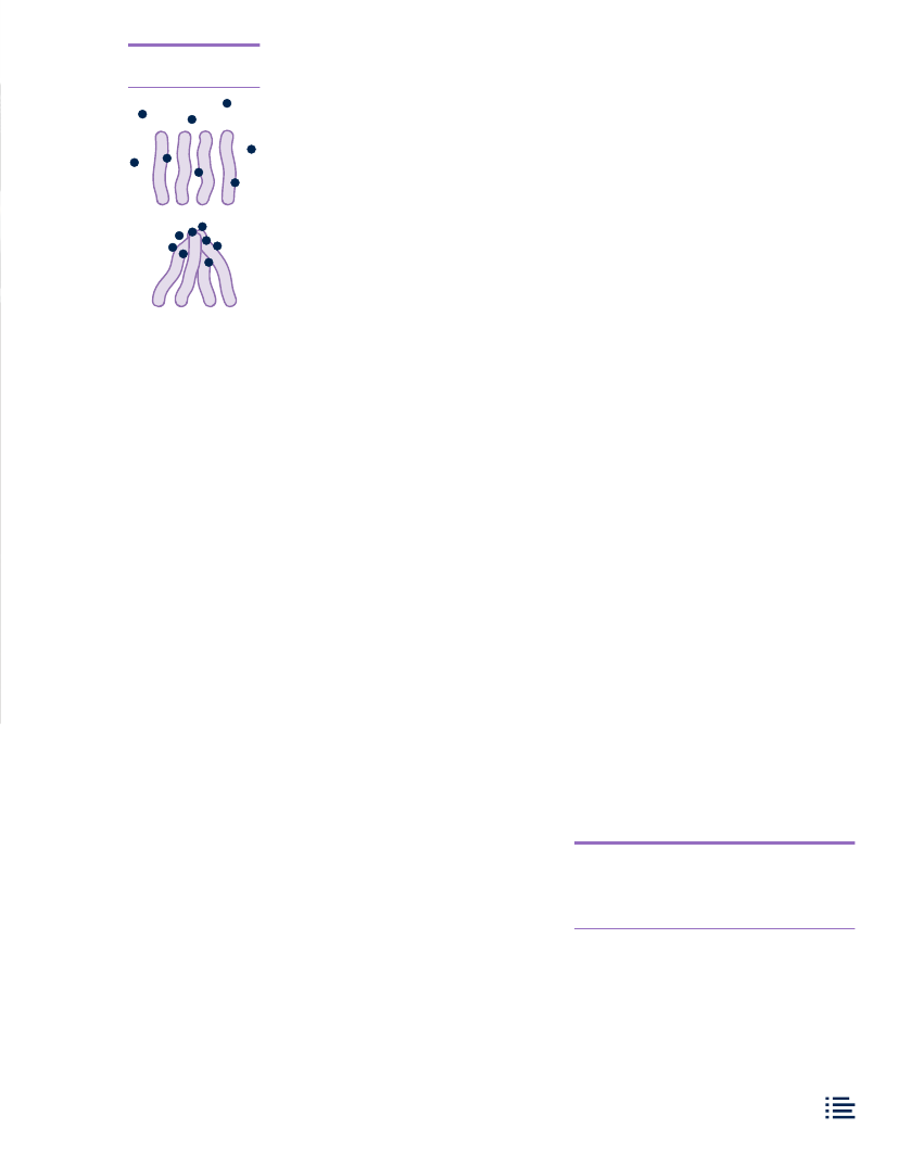 1346584_0037.png