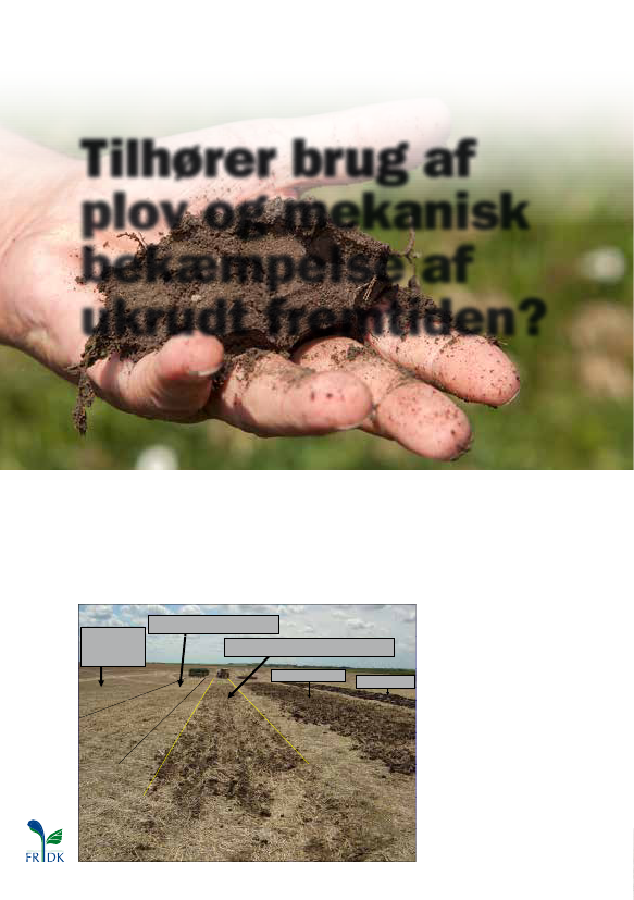 1347431_0002.png