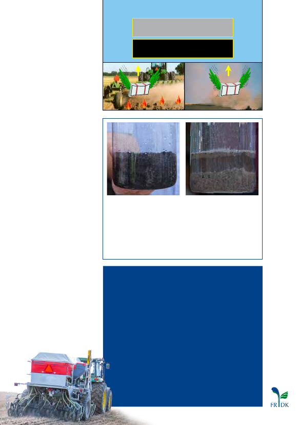 1347431_0003.png