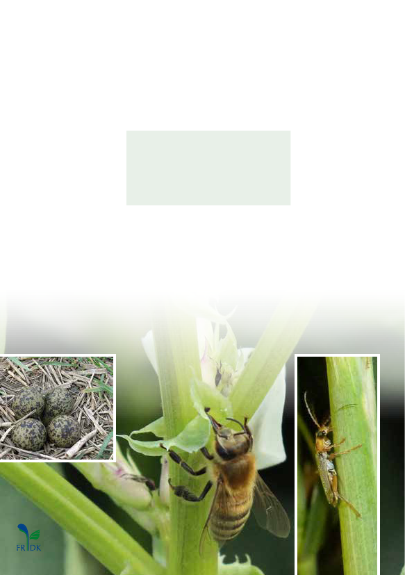 1347431_0006.png