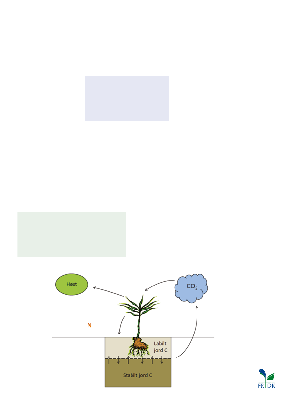 1347431_0007.png