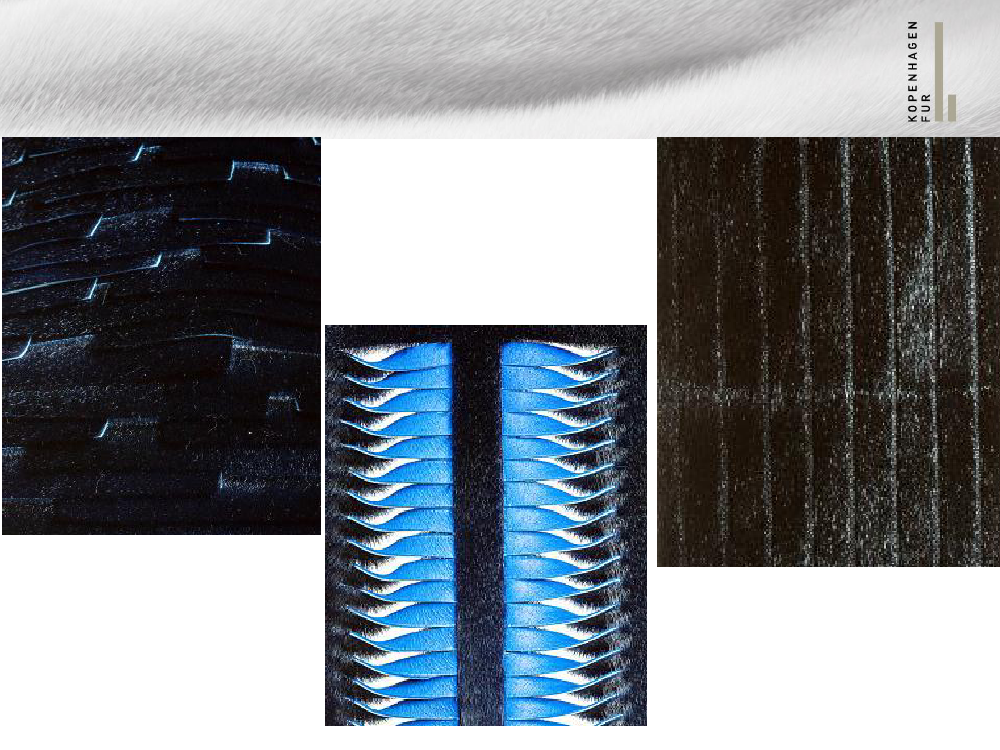 1347614_0006.png