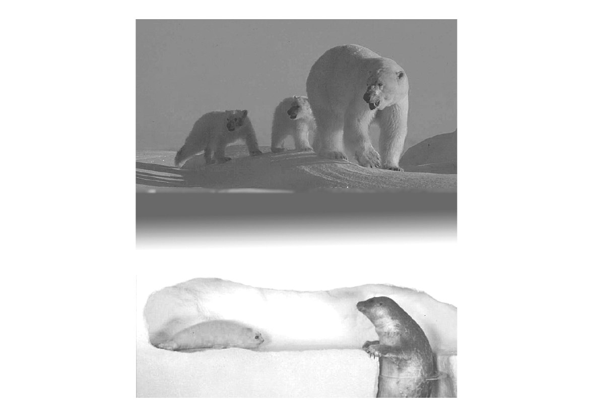 1347617_0013.png