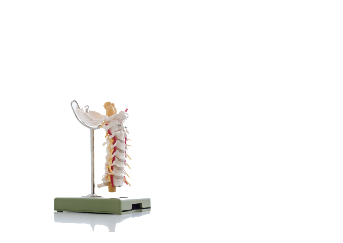 1348882_0013.png