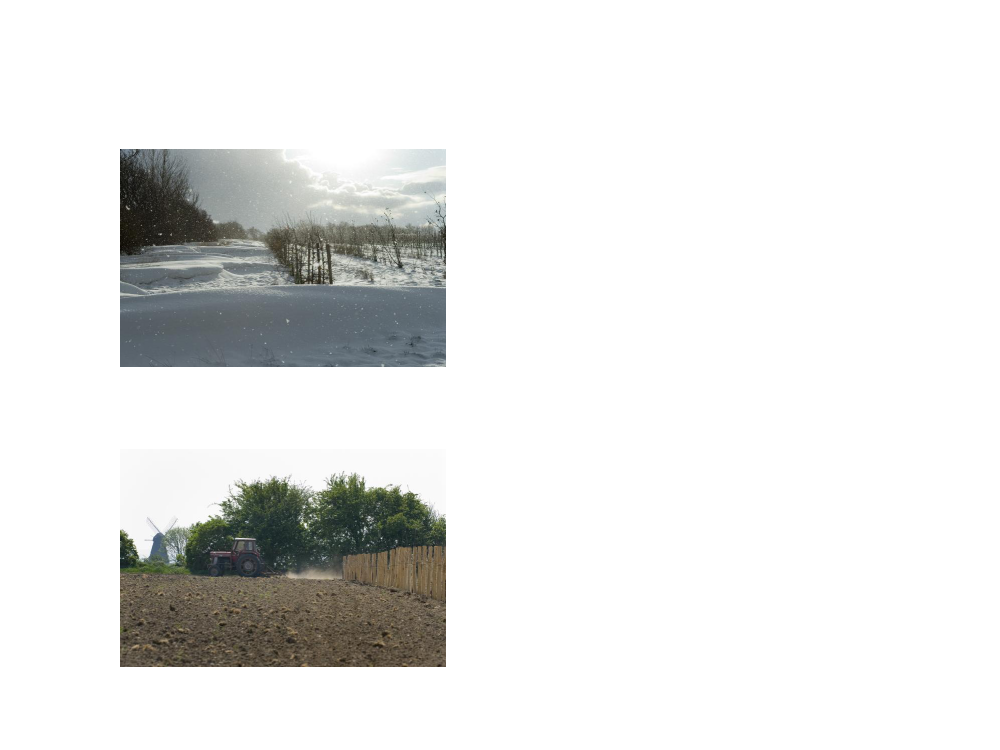 1355301_0002.png