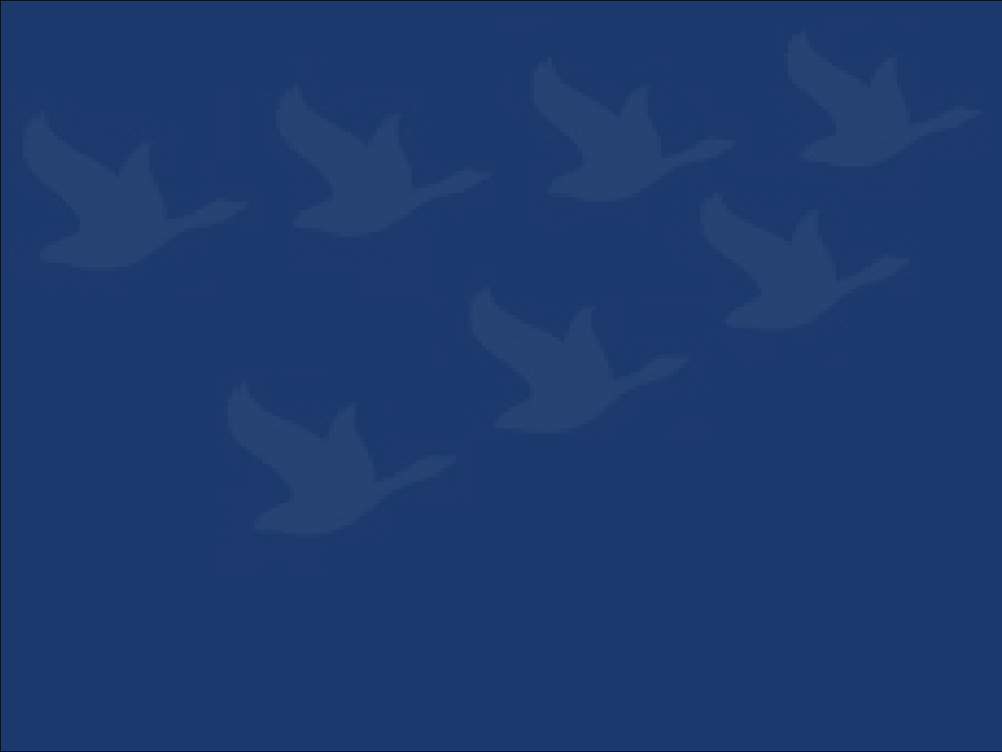 1355306_0008.png