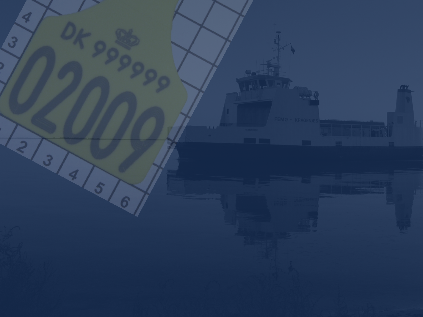 1355306_0011.png