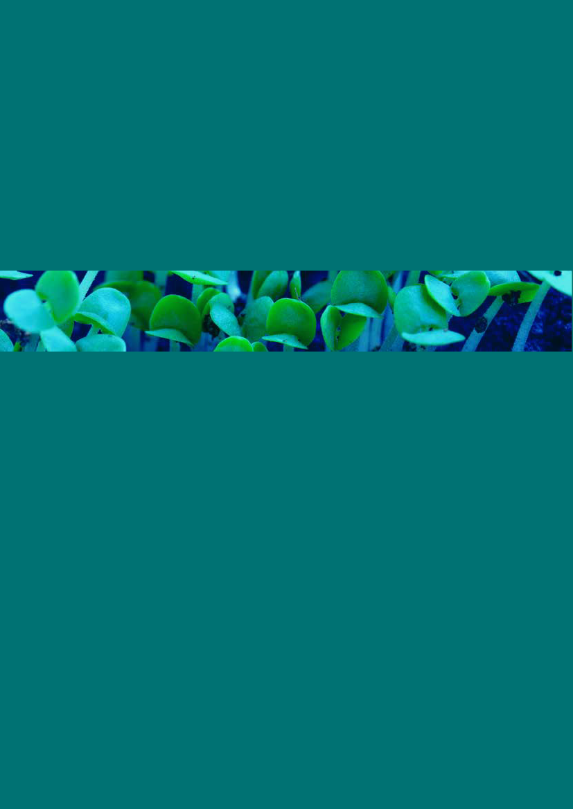 1362031_0040.png