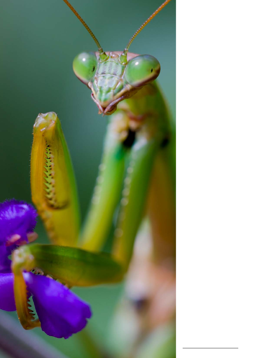 1365018_0043.png