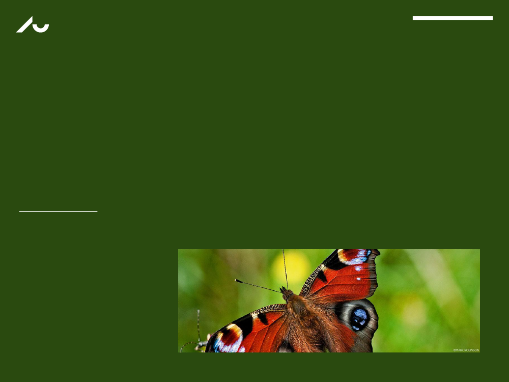 1367387_0001.png